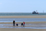 IMG_1866.JPG