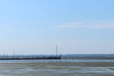 IMG_2376.JPG