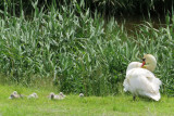 IMG_2493.JPG
