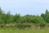 IMG_2714.JPG