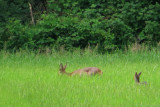 IMG_2724.JPG