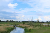 IMG_2769.JPG