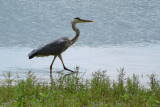 IMG_2789.JPG