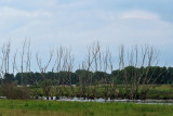 IMG_2877.JPG