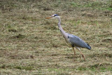 IMG_2882.JPG