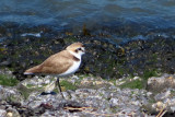 IMG_3256.JPG