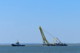 IMG_3272.JPG