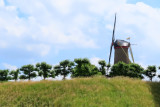 IMG_3329.JPG