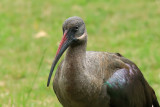 IMG_1090.JPG