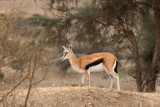 IMG_1226.JPG