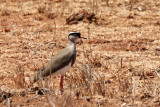 IMG_1354.JPG