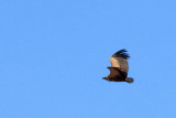 IMG_1469.JPG