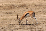 IMG_1524.JPG