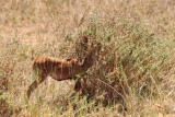 IMG_1546.JPG