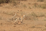 IMG_1644.JPG