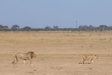 IMG_1676.JPG