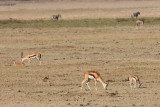 IMG_1688.JPG