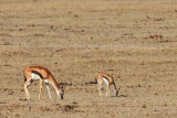 IMG_1689.JPG