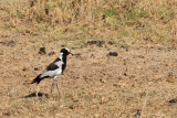 IMG_1690.JPG