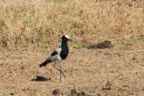 IMG_1692.JPG