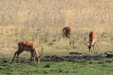 IMG_1739.JPG