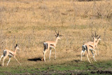 IMG_1742.JPG