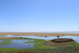 IMG_1794.JPG