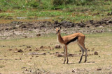 IMG_1844.JPG