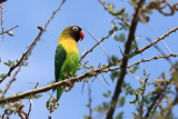 IMG_2116.JPG