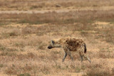 IMG_2142.JPG