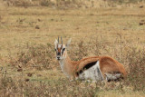 IMG_2162.JPG