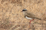 IMG_2180.JPG