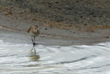 IMG_2213.JPG