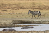 IMG_2274.JPG