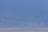 IMG_2324.JPG