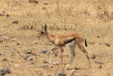 IMG_2424.JPG