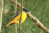 IMG_2672.JPG