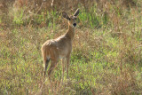 IMG_3031.JPG