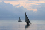 IMG_3127.JPG