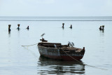 IMG_3153.JPG