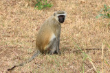 IMG_3077.JPG