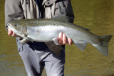 Casting, Spinning & Float Fishing