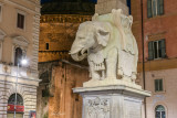 20191003-784-roma-web.jpg
