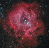 The Rosette Nebula