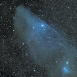 Blue Horsehead 