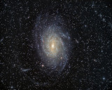NGC6744 Southern Spiral Galaxy