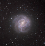 M83 Southern Spiral Galaxy