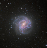 M83 Southern Spiral Galaxy