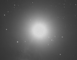 Horsehead Nebula.  Luminance cropped.jpg