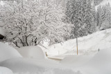 dolomitas_2019